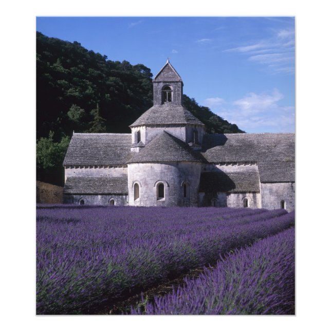 Senanque Abbey, Gordes, Vaucluse, Provence, 2 Fototryck (Framsidan)