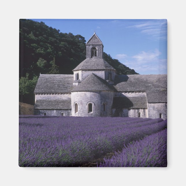 Senanque Abbey, Gordes, Vaucluse, Provence, 2 Magnet (Framsidan)
