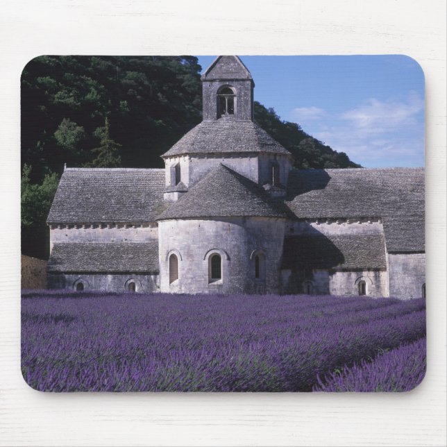 Senanque Abbey, Gordes, Vaucluse, Provence, 2 Musmatta (Framsidan)