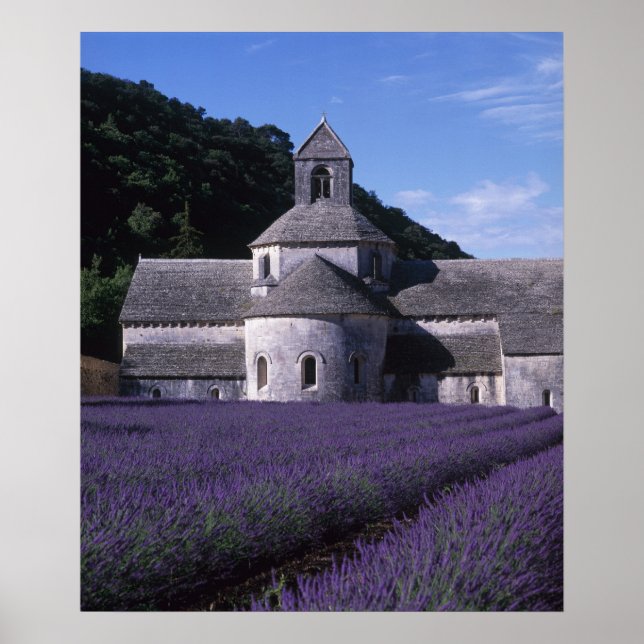 Senanque Abbey, Gordes, Vaucluse, Provence, 2 Poster (Framsidan)