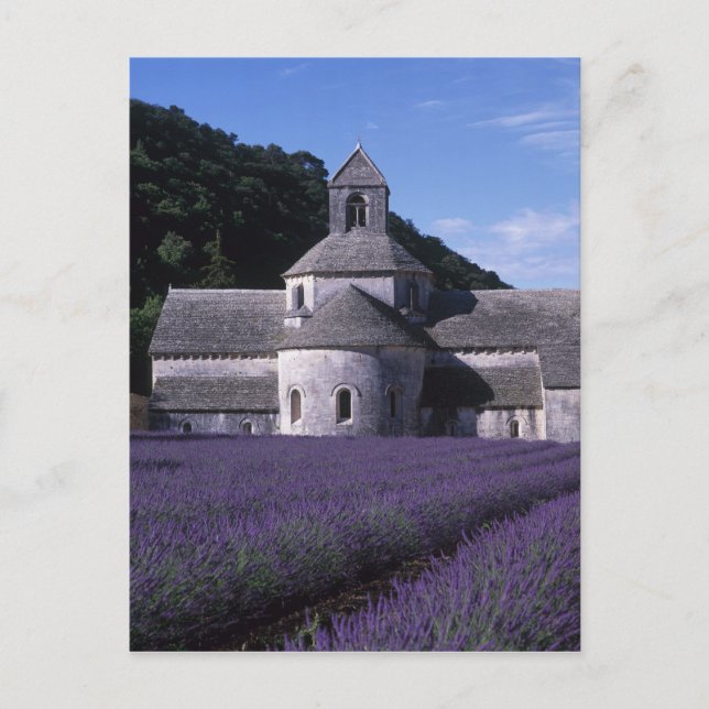 Senanque Abbey, Gordes, Vaucluse, Provence, 2 Vykort (Framsida)