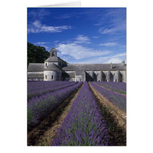 Senanque Abbey, Gordes, Vaucluse, Provence, Hälsningskort