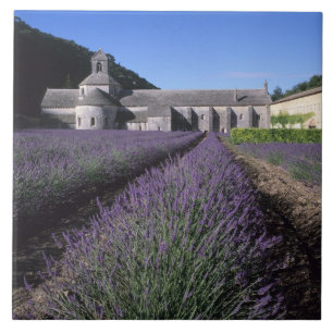 Senanque Abbey, Gordes, Vaucluse, Provence, Kakelplatta