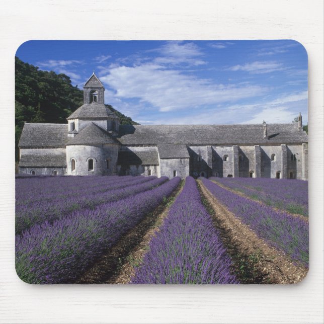 Senanque Abbey, Gordes, Vaucluse, Provence, Musmatta (Framsidan)