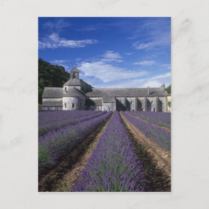 Senanque Abbey, Gordes, Vaucluse, Provence Vykort