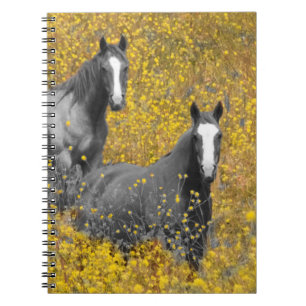 Senap och hästar anteckningsbok med spiral