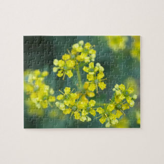 Senapsblommor, Pussel, 20x25 cm, 110 bitar Pussel