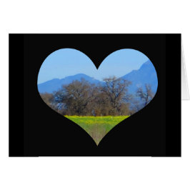 Senapsgultt blomma i Springtime Sonoma County Hälsningskort