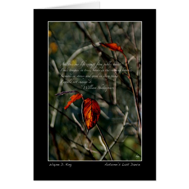 Senaste dansen med Shakespeare Hälsningskort (Framsidan)