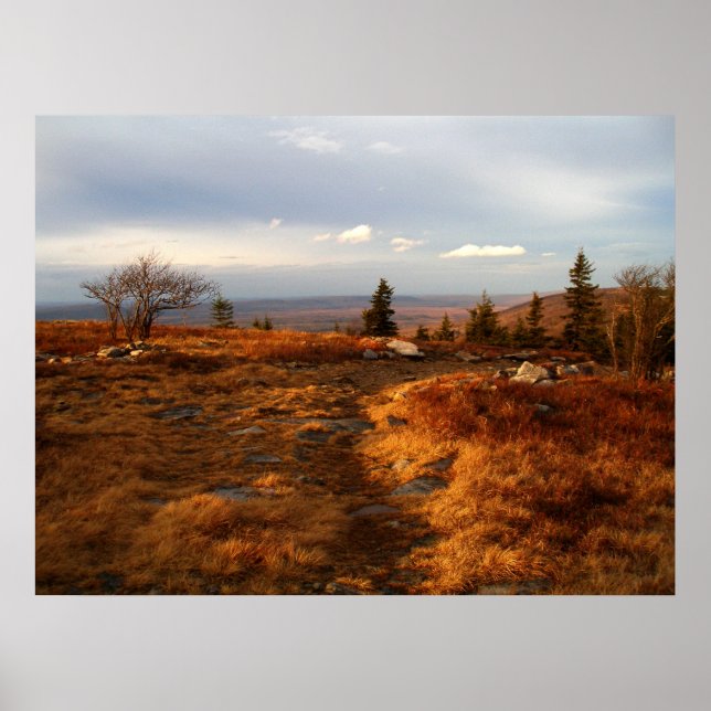 Senaste eftermiddagen på Sods Poster (Framsidan)