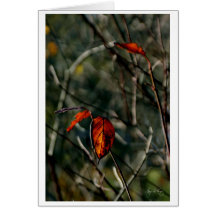 Senaste gången hösten