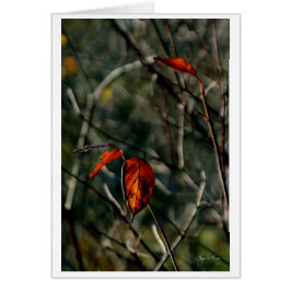 Senaste gången hösten hälsningskort