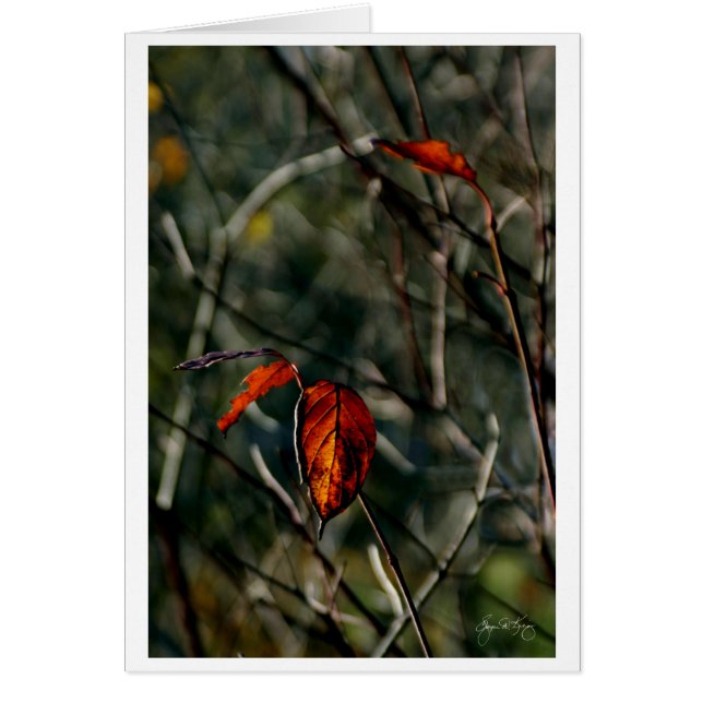 Senaste gången hösten hälsningskort (Framsidan)