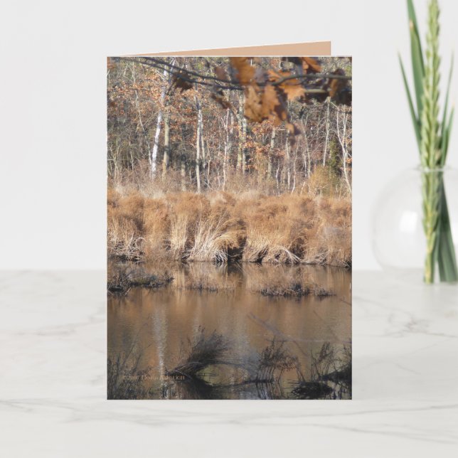 Senaste hösten kort (Framsida)