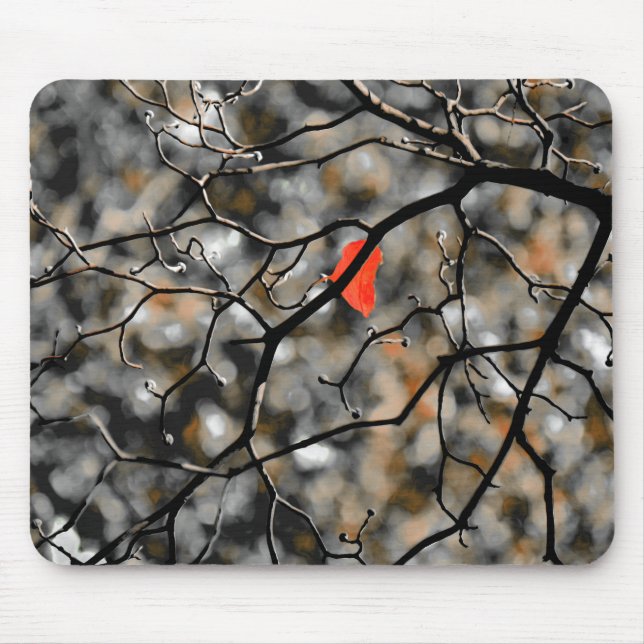 Senaste hösten musmatta (Framsidan)