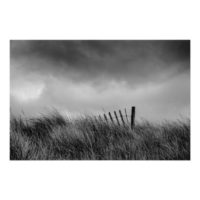 Senaste inlägg fototryck (Framsidan)