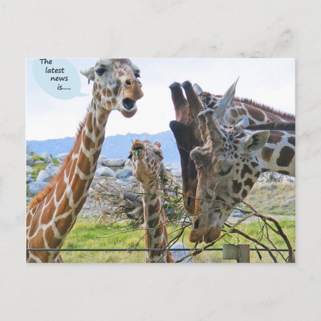 Senaste nyheten är vykort (Framsida)