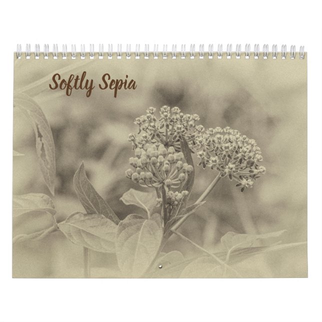 Senaste Sepialendern Kalender (Omslag)