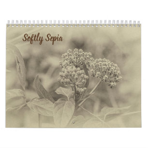 Senaste Sepialendern Kalender