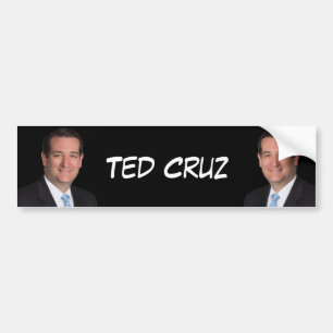 Senator Ted Cruz Bildekal