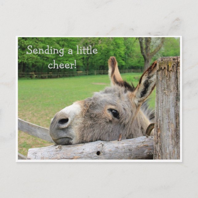 "Sending Cheer" Olyckligt vykort för Donkey (Framsida)