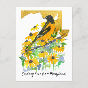 Sending Kärlek Maryland Baltimore Oriole Flowers Vykort