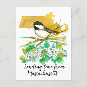Sending Kärlek Massachusetts Chickadee Mayblomme Vykort