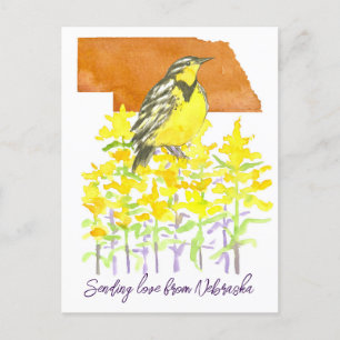 Sending Kärlek Nebraska Meadowlark Goldenrod Flowe Vykort