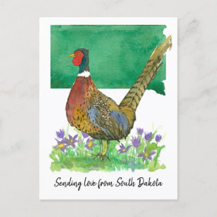 Sending Kärlek South Dakota Pheasant Pasque Flower Vykort