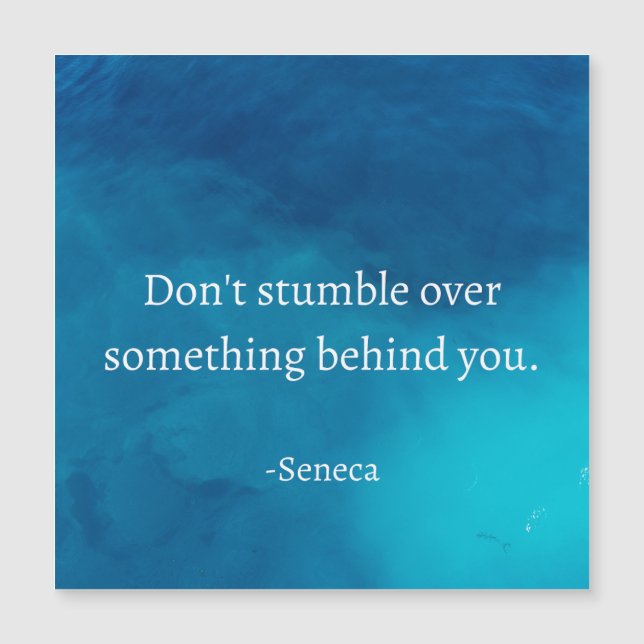 Seneca: Fokus Forward, Stumble on Past (Framsida)