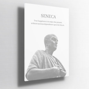 Seneca inspirationcitattecken Poster