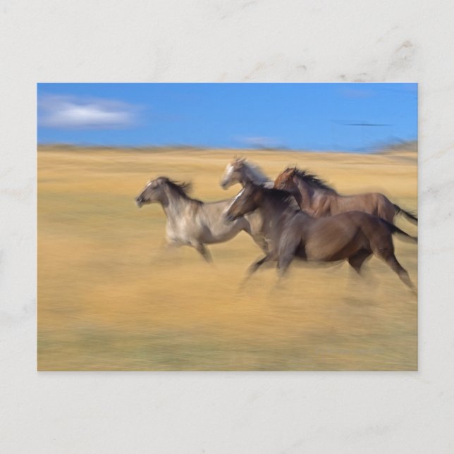 Seneca, Oregon, USA Vykort (Framsida)