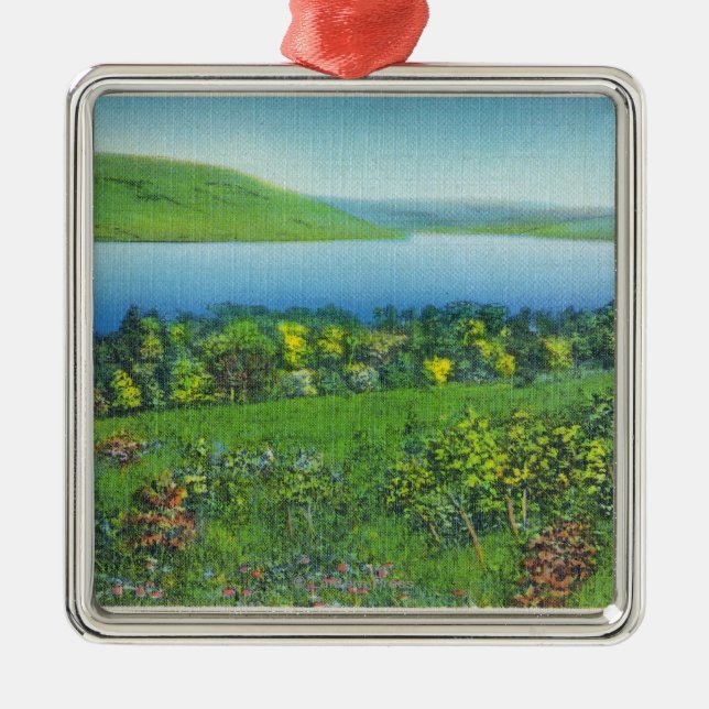 Seneca pekar beskådar av sjön julgransprydnad metall (Framsidan)