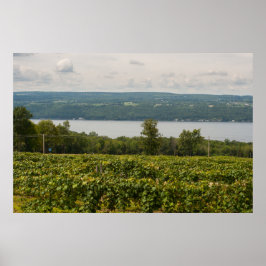 Seneca Sjö och Vineyards, New York Poster