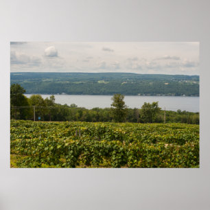 Seneca Sjö och Vineyards, New York Poster