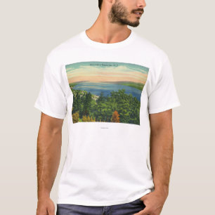 Seneca sjön beskådar tee