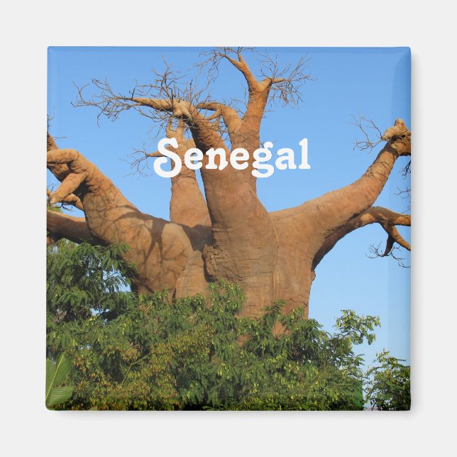 Senegal Magnet (Framsidan)