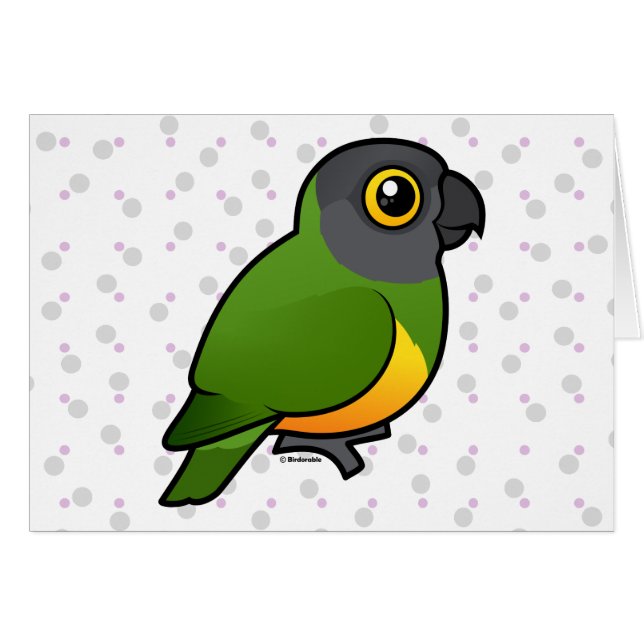 Senegal papegoja hälsningskort (Framsidan Horizontal)