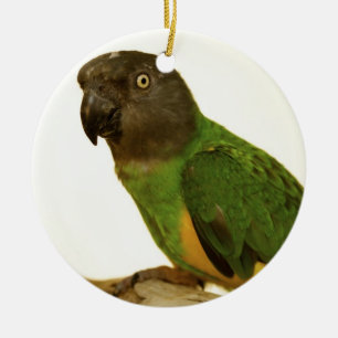 Senegal papegojaprydnad julgransprydnad keramik