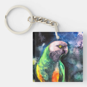 Senegal Parrot