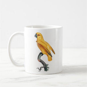 Senegal Parrot Kaffemugg