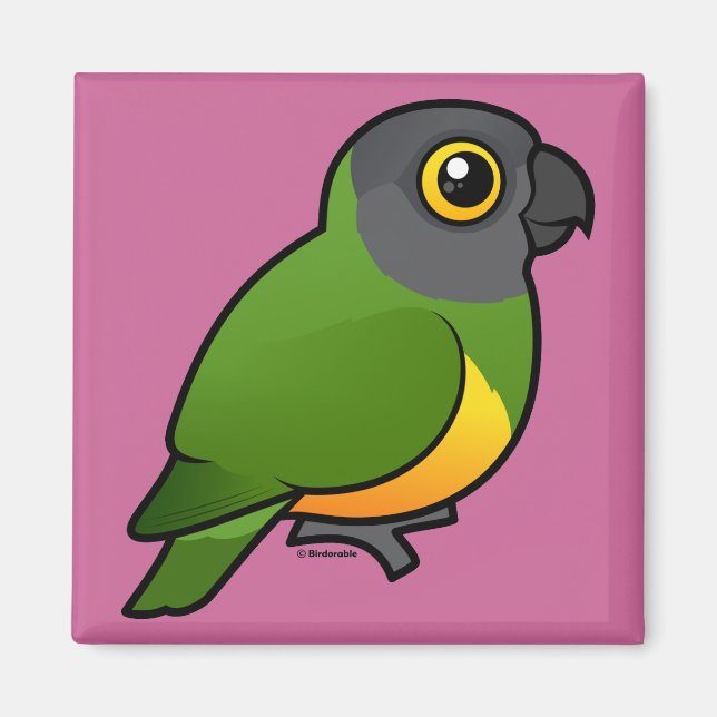 Senegal Parrot Magnet (Framsidan)