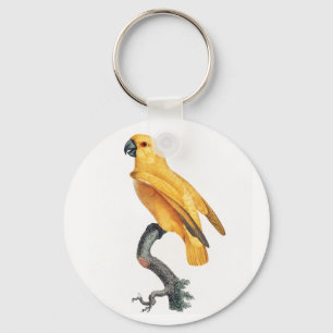 Senegal Parrot Nyckelring
