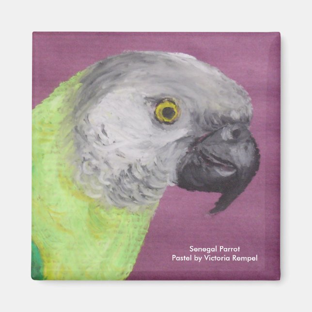 Senegal Parrot Pastel Magnet (Framsidan)