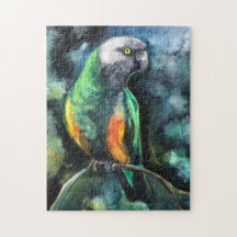 Senegal Parrot puzzle