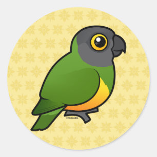 Senegal Parrot Runt Klistermärke