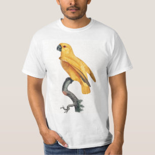 Senegal Parrot T Shirt