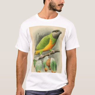 Senegal Parrot, vuxen man T Shirt