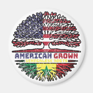 Senegal Senegalese USA USA USA Förenta Stater Magnet