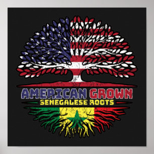 Senegal Senegalese USA USA USA Förenta Stater Poster